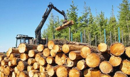 Projektligji per pyjet, subjektet qe i shfrytezojne detyrim per pyllezim
